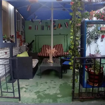 Apartman Dino - Garden *