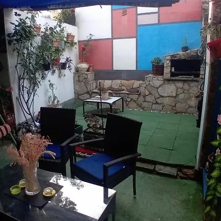 Dino - Garden * Sarajevo