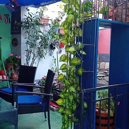 Dino - Garden * Szarajevó